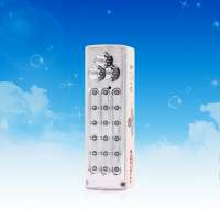 Factory Price High Power Battery Operated Rechargeable 21 LED Emergency Light